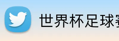 世界杯足球赛 logo